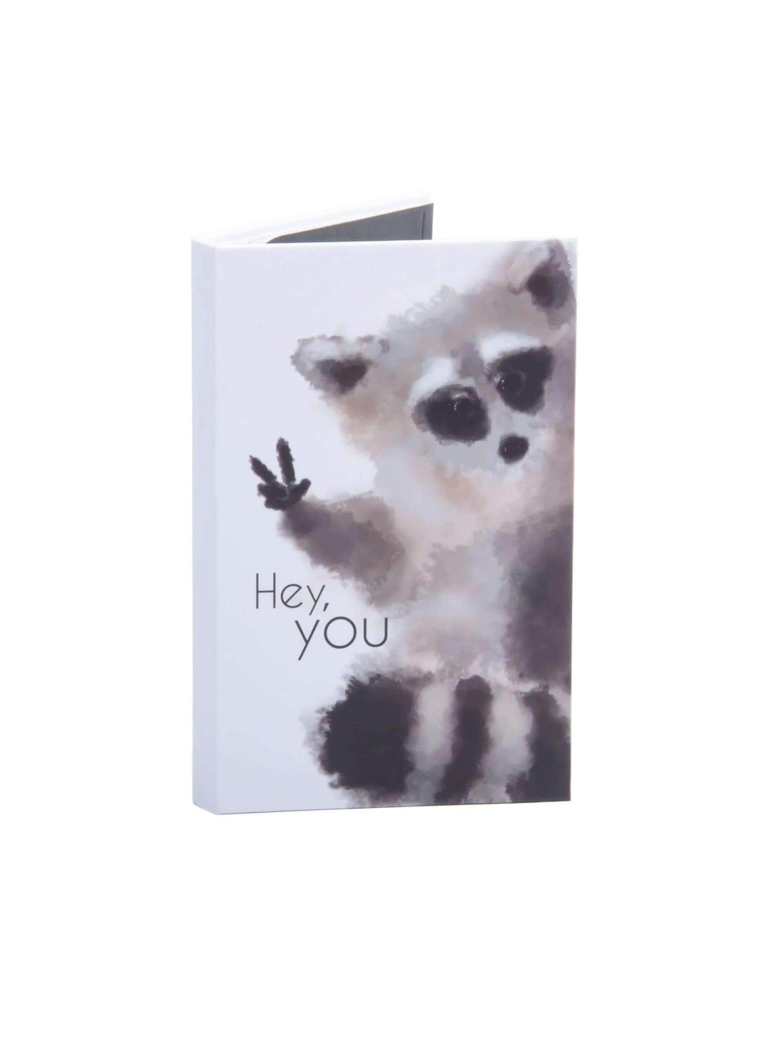Neuvolakorttikotelo - raccoon - LuKLabel